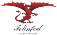 Felinfoel